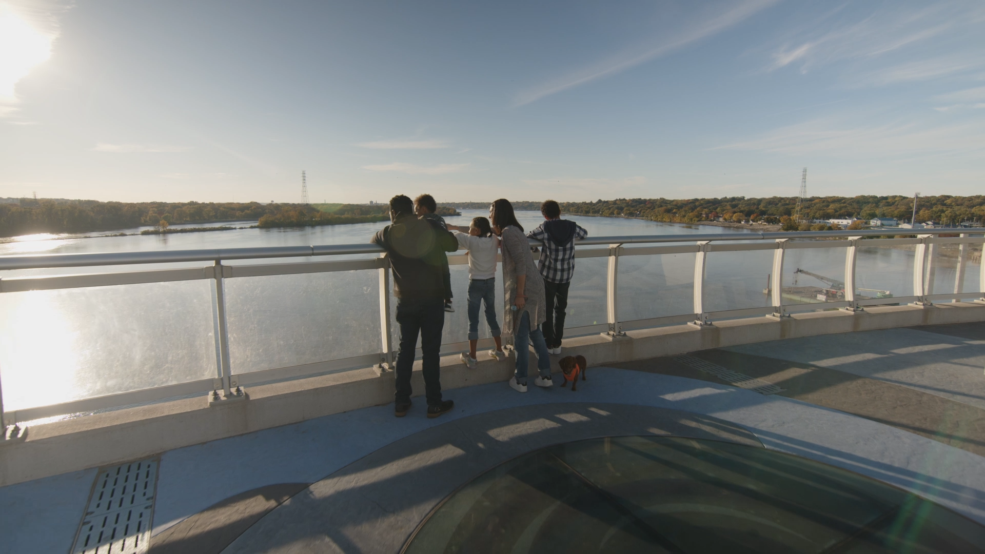 Hero image for Survey