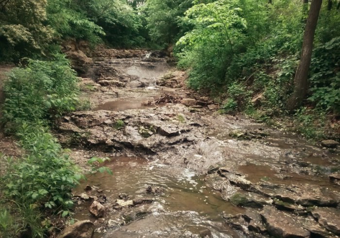 small waterfall on creek in forest