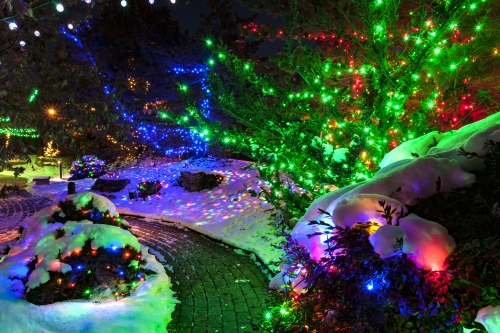 outdoor garden in winter with snow decorated christmas lights