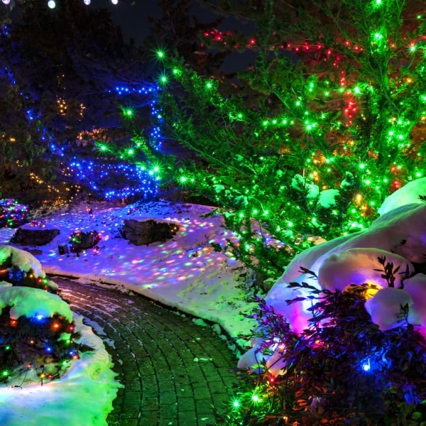 Christmas Lights Quad Cities 2024 Eirena Shirlene