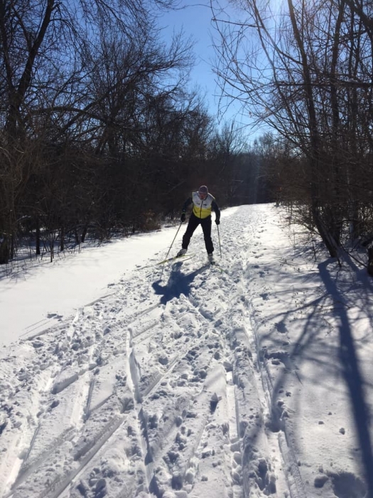 man cross country skiing on sunny day in the woods