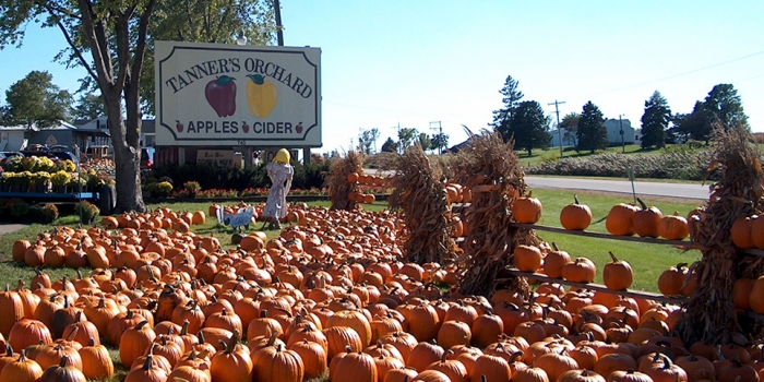 tanners apple orchard entrance