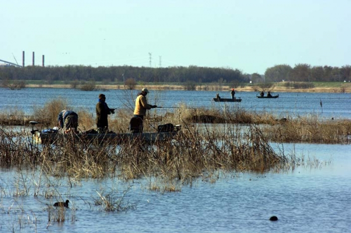 backwater with cattails and three men in a boat standing up and fishing
