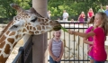 Thumbnail image for photo gallery image #12