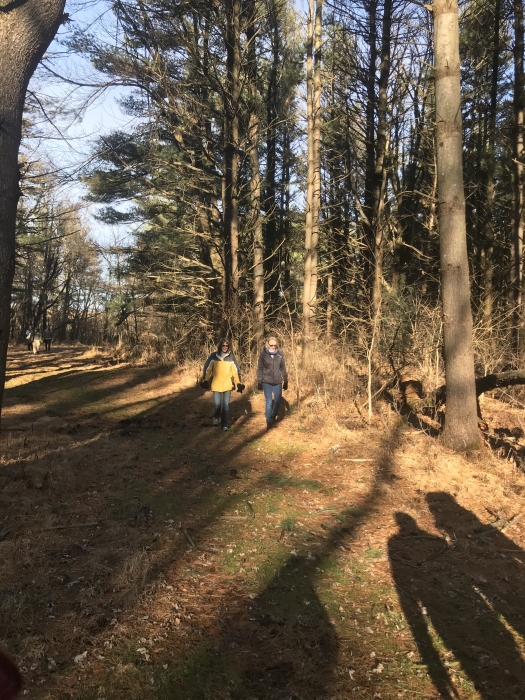 couple walking on wooded path