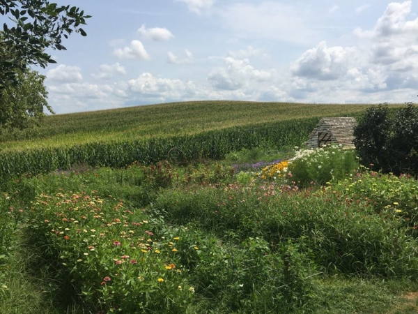 Miss Effie’s Country Flowers
