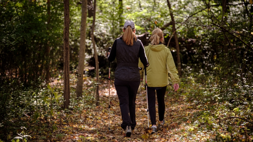 Photo gallery image #3