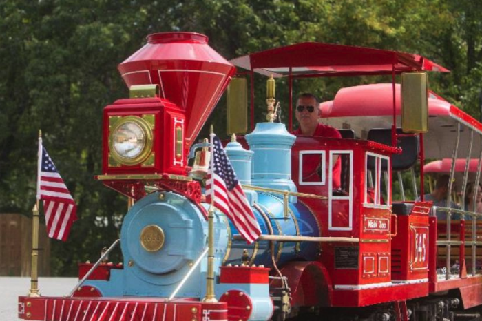 red miniature train to ride through zoo