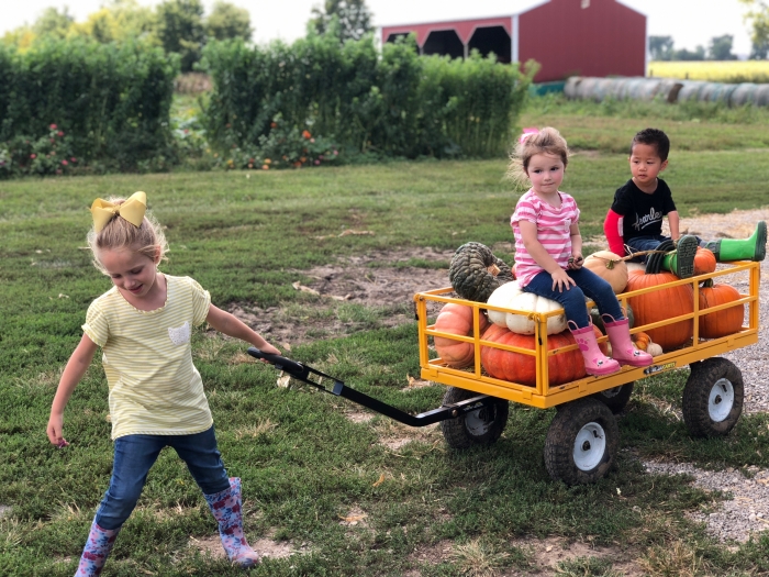 young girl pulling a wagon with pumpkins and 2 little kids