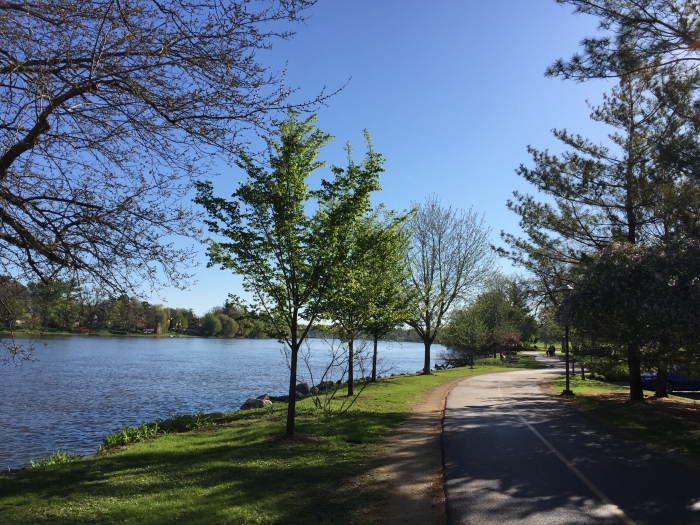 paved bike path along river on sunny day