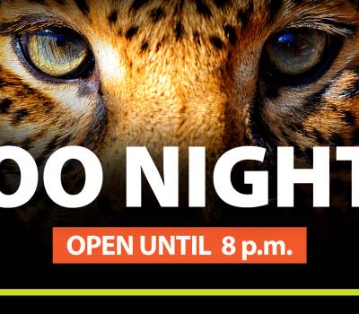 Zoo Nights Open Until 8 PM