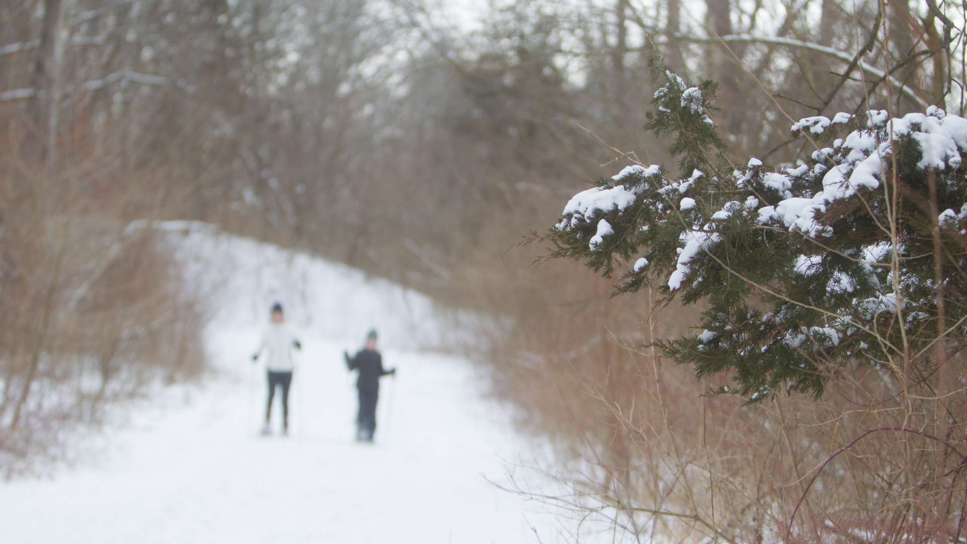 Hero image for QC Winter Adventures