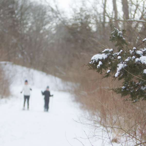 Hero image for QC Winter Adventures