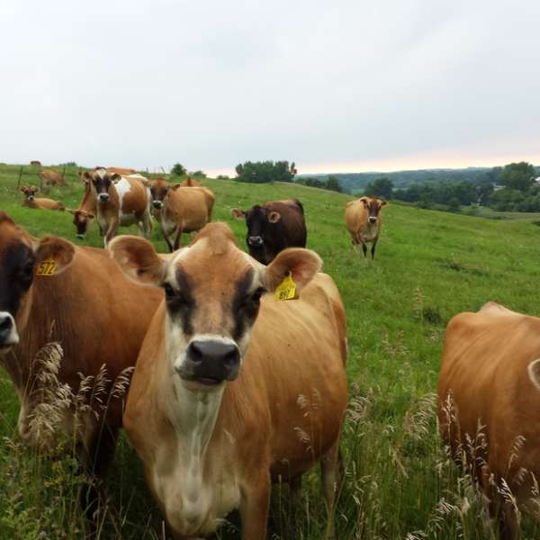 Hero image for Agri Tourism