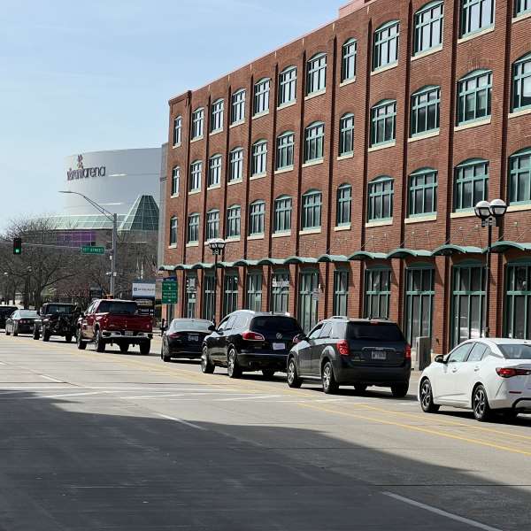 Hero image for Downtown Organizations