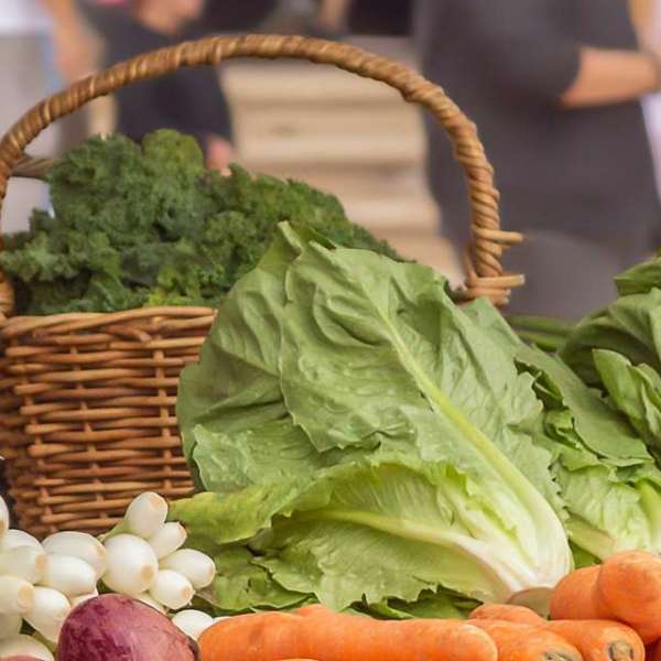 Hero image for Farm to Table