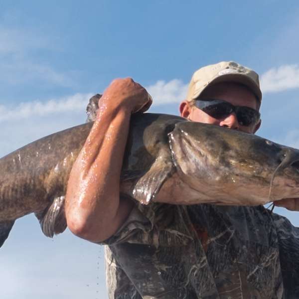 Hero image for Fishing