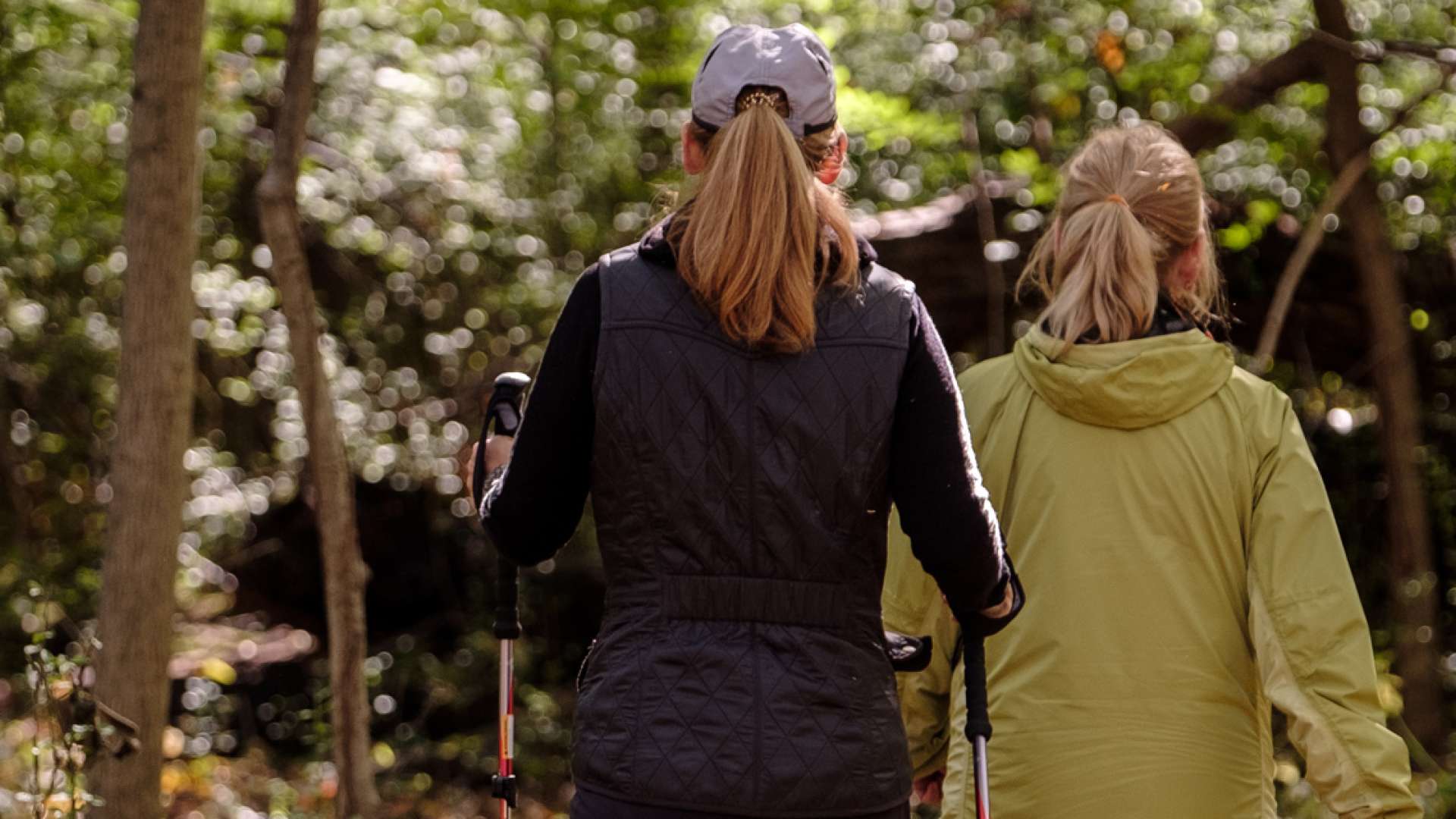 Hero image for Hiking