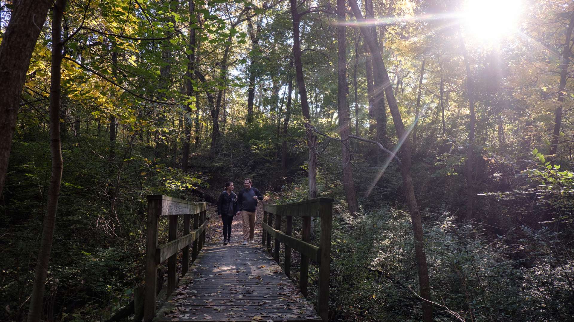 Hero image for Nature & Outdoors