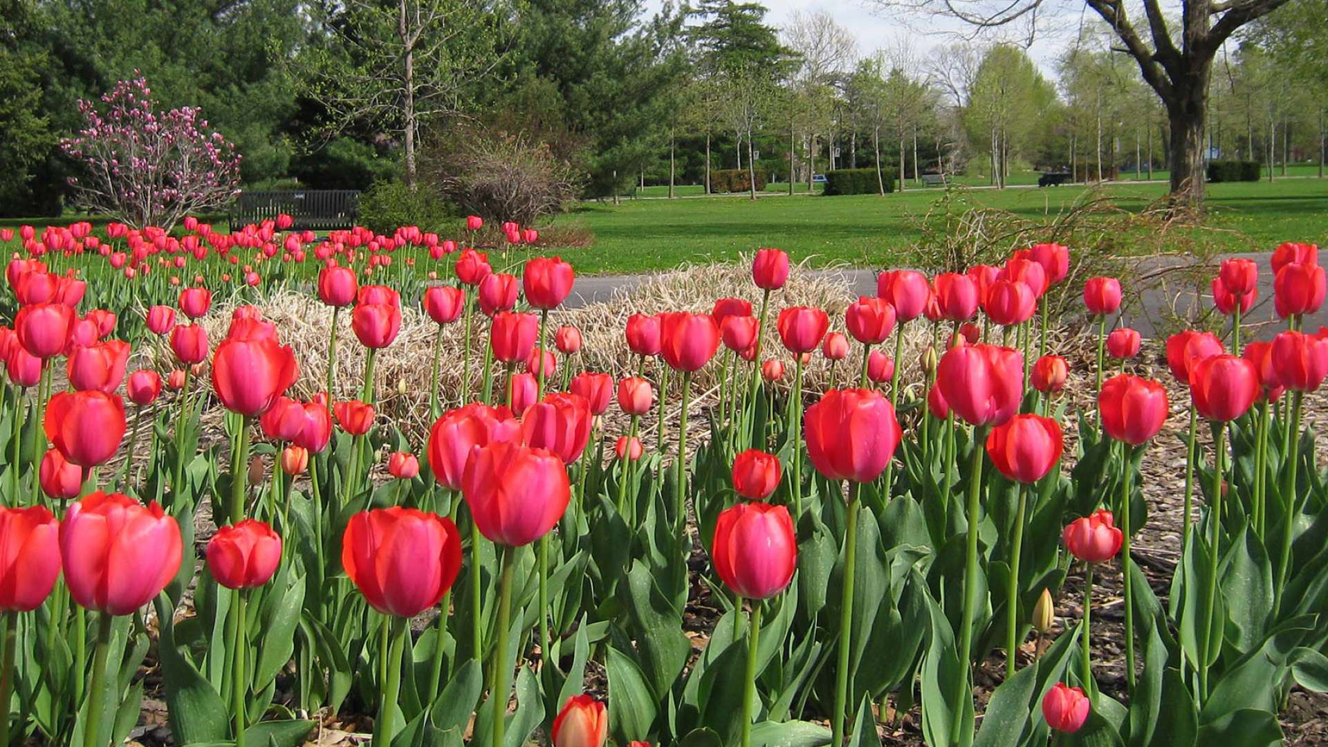 Hero image for Spring