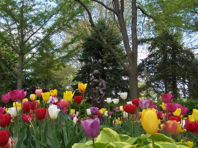 Photo for How to Spend a Spring Day in the Quad Cities