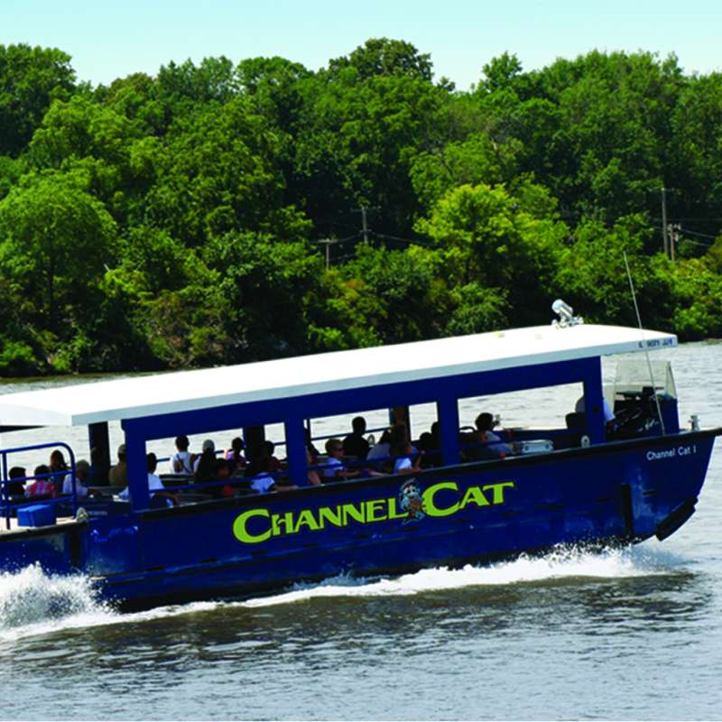 Photo for Channel Cat Water Taxi returns for season, with new music series