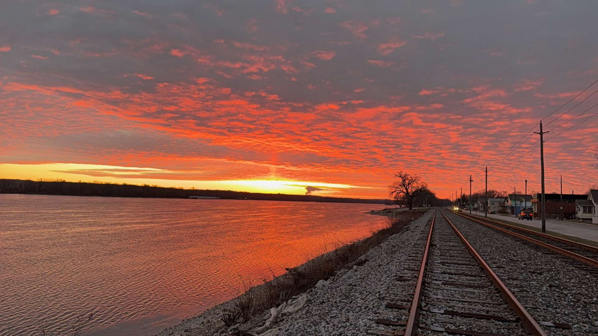 Hero image for Buffalo