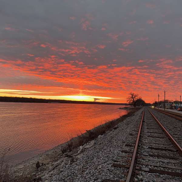 Hero image for Buffalo