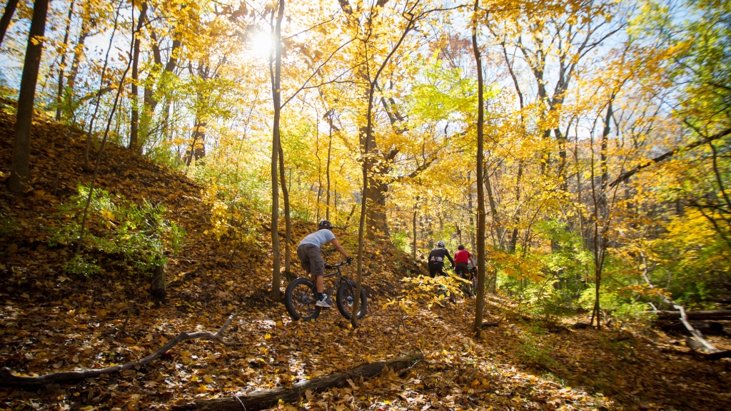 Photo gallery image #8