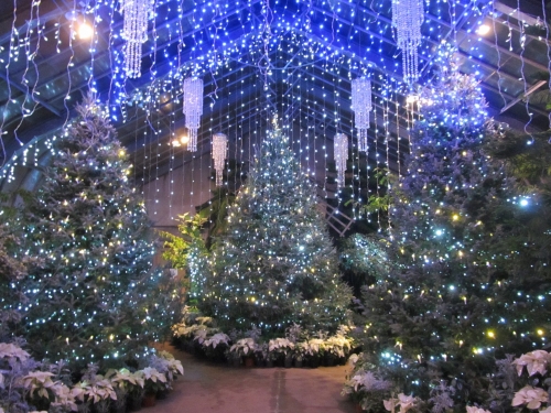 indoor greenhouse with lighted trees and hanging lights from ceiling