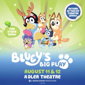 Image for Blueys Big Play
