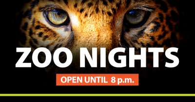 Image for Zoo Nights Open Until 8 PM