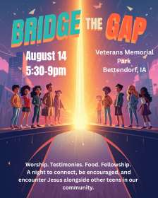 Image for Bridge the Gap